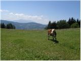 Lavamünd - Huhnerkogel/Košenjak